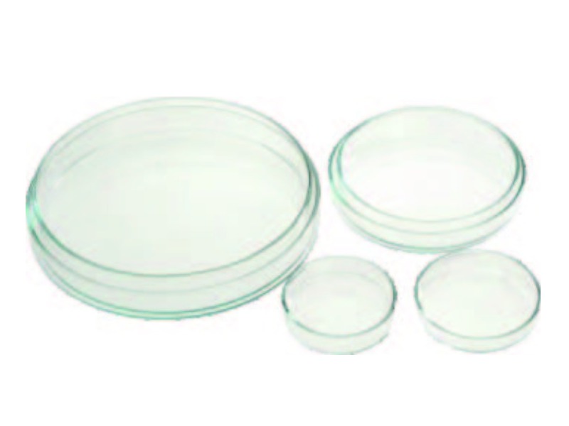 Petri Dishes